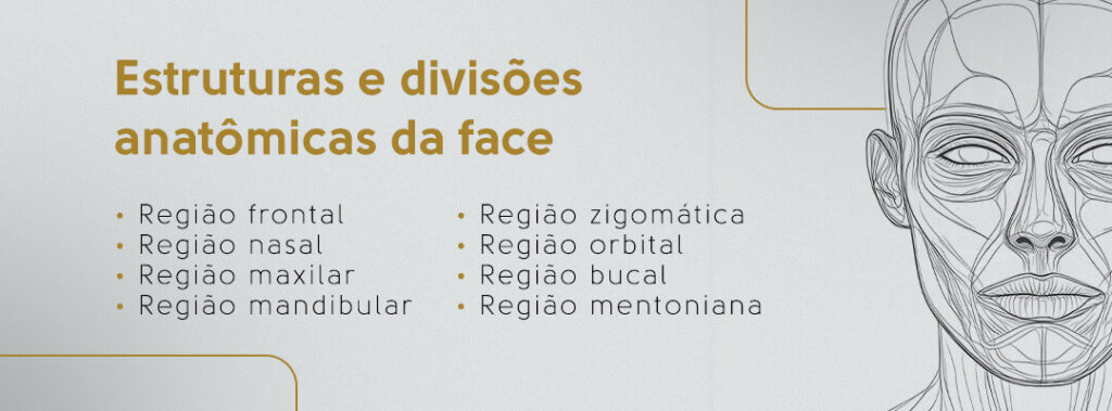 Estruturas e divisões anatômicas da face: região frontal, região nasal, região maxilar, região mandibular, região zigomática, região orbital, região bucal e região mentoniana