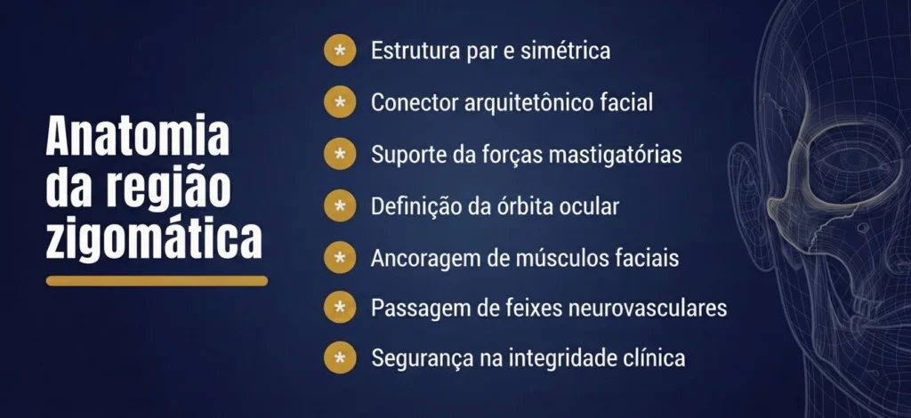 Principais características da anatomia da região zigomática com estrutura par e simétrica, conector arquitetônico facial, suporte das forças mastigatórias, definição da órbita ocular, ancoragem de músculos faciais, passagem de feixes neurovasculares e segurança na integridade clínica